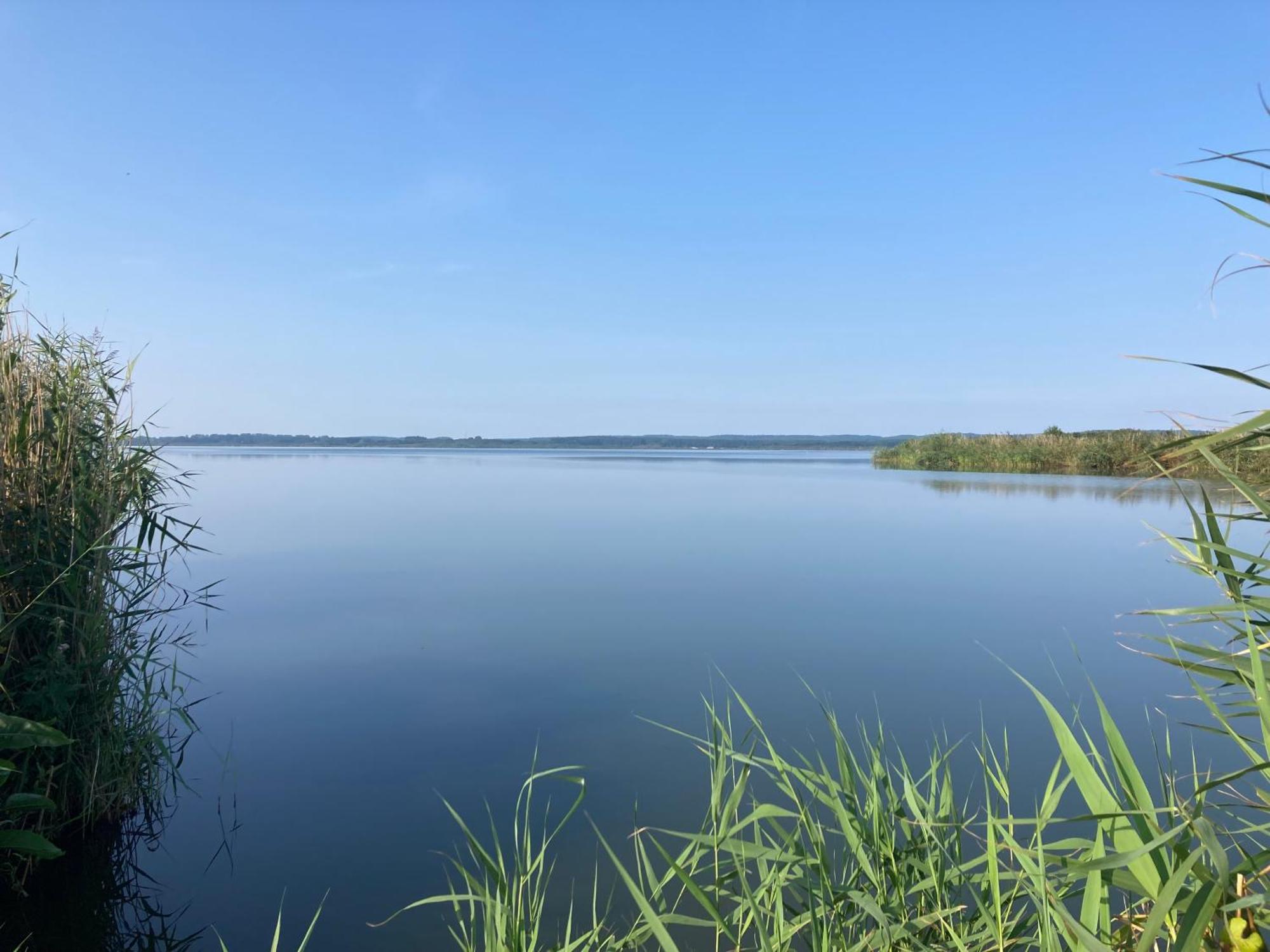 Nowe Apartamenty Ostoja - Nad Baltykiem - Cisza I Piekno Natury Zastan Exterior photo